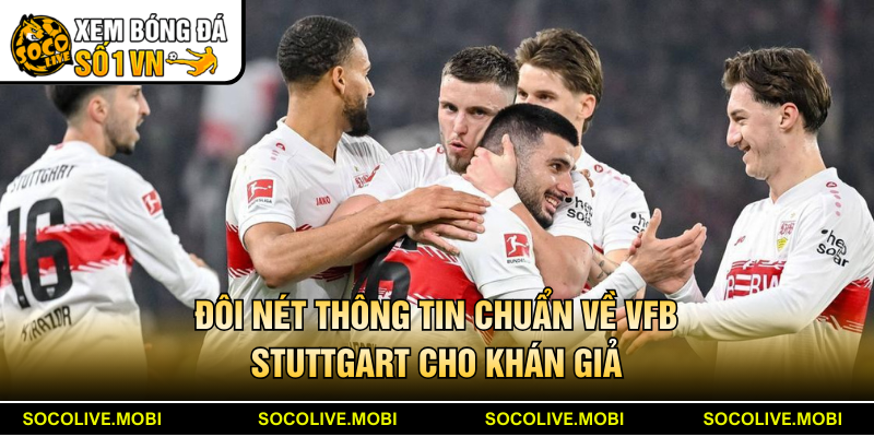 Đôi nét thông tin chuẩn về VfB Stuttgart cho khán giả