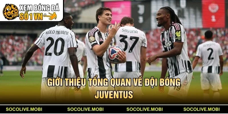 Giới thiệu tổng quan về đội bóng Juventus